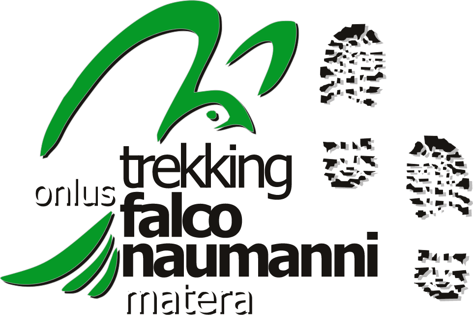 logo falco trasp grande