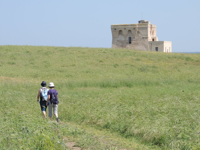 torre guaceto 31