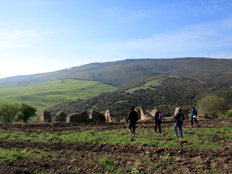 ruderi e bosco