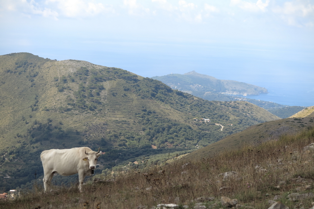 Capo Palinuro