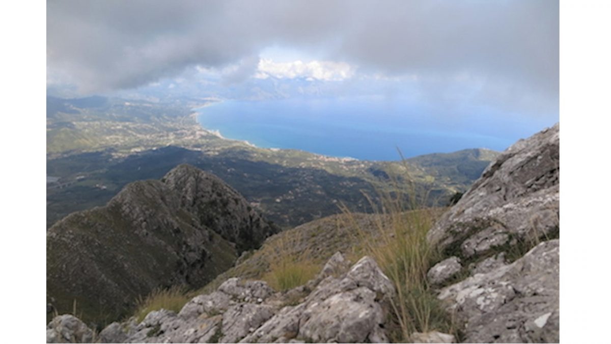 camerota2