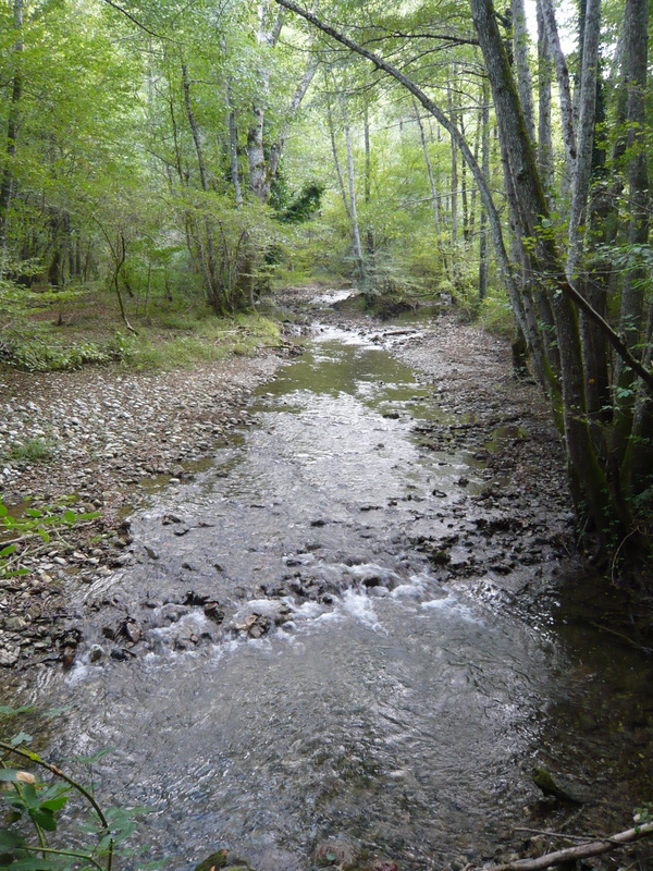 P1090890