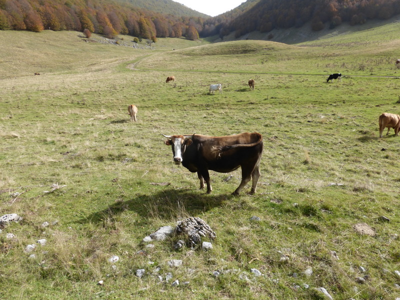 P1120009