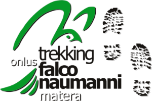 Trekking Falco Naumanni