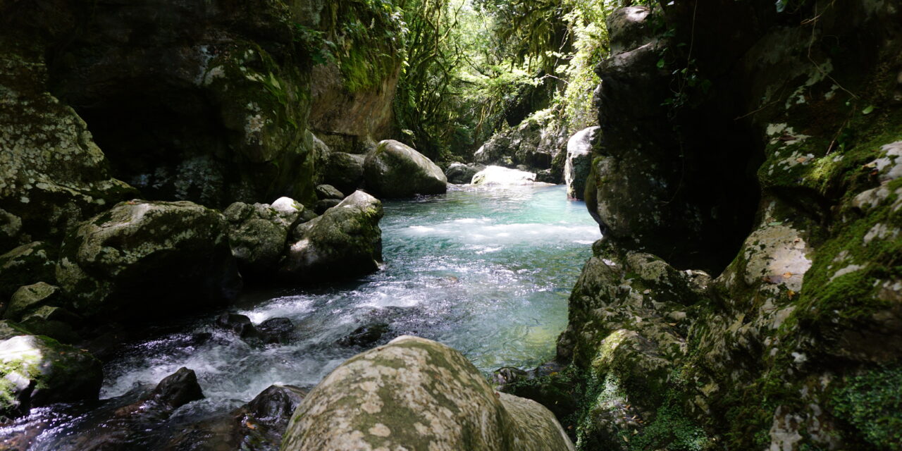 Grotte del Bussento – Oasi Cascate Capelli di Venere – Monte Serralunga