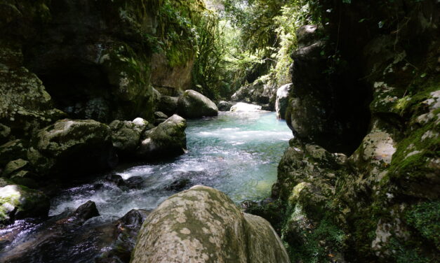 Grotte del Bussento – Oasi Cascate Capelli di Venere – Monte Serralunga