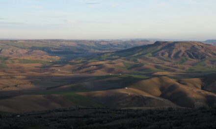 Da Taccone a Monteserico “I paesaggi del grano”