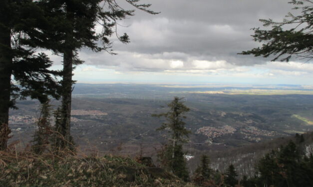 Parco Naturale Regionale del  Vulture: Da Rionero al Rifugio Monte Vulture