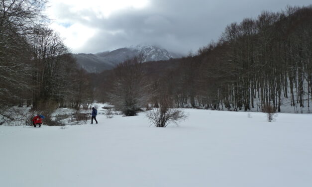 Ciaspolata sul Pollino