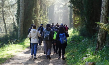 Da Gravina in Puglia al Bosco Difesa Grande