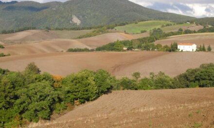 Sant’Andrea di Atella – San Fele