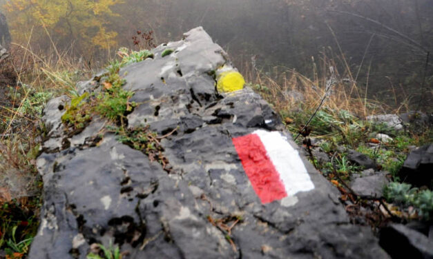 Sentiero Italia – dalla Madonna del Pollino al monte Pelato