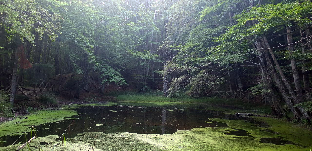 Bosco Rubbio – Acquatremola – Lago Duglia | Il sentiero delle tre fontane