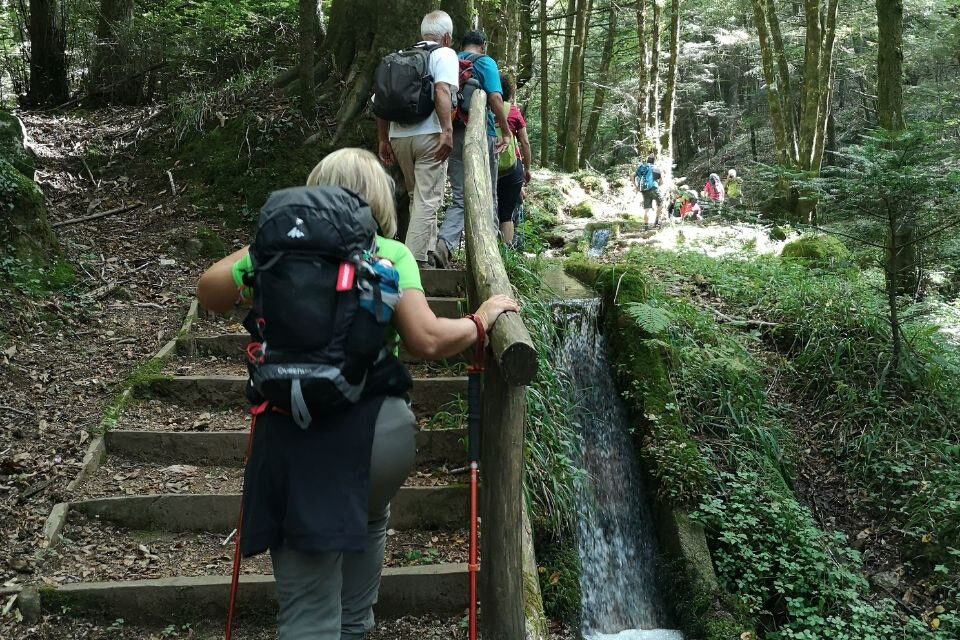 Serra San Bruno