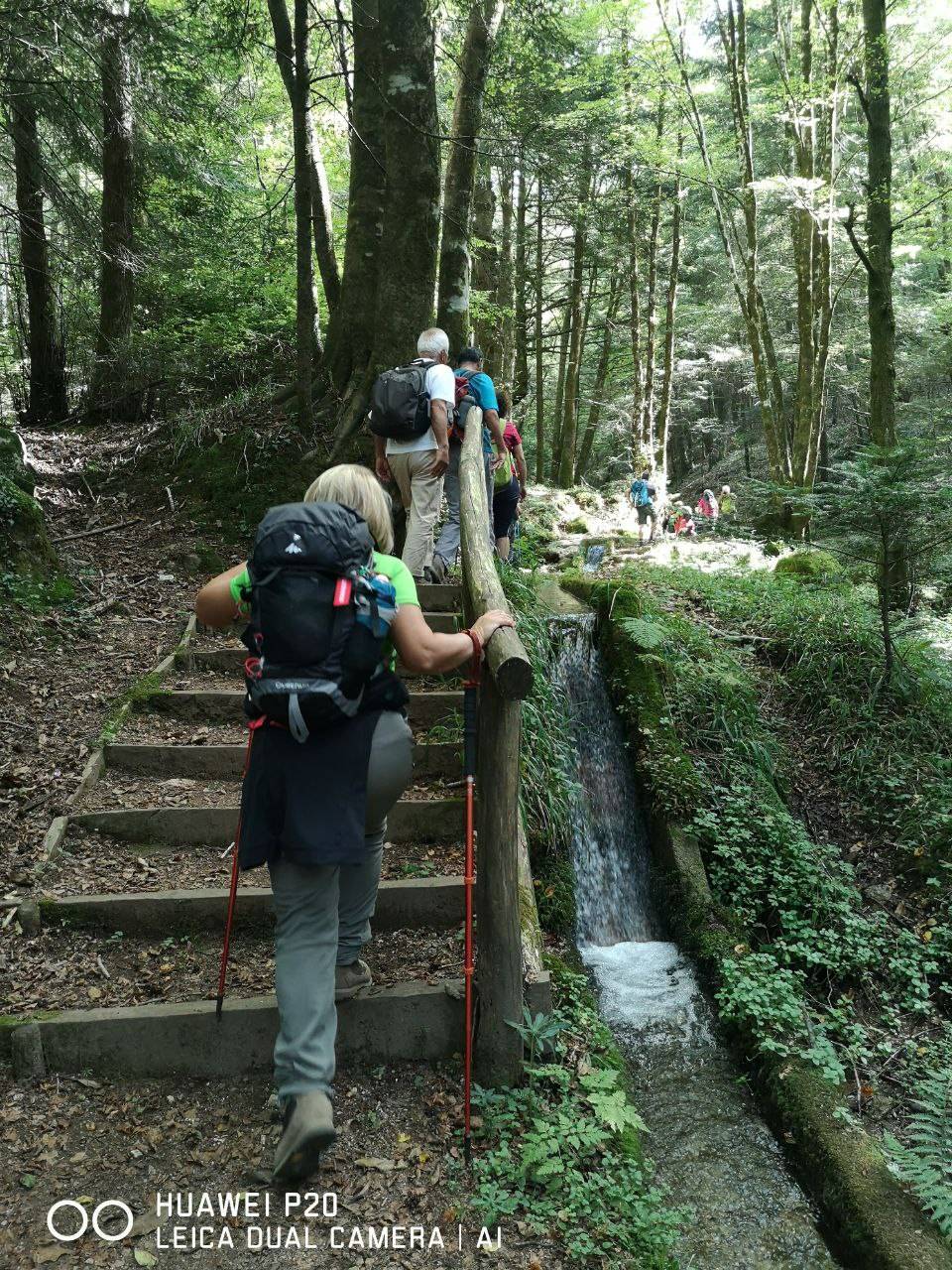 Parco Naturale Regionale delle Serre: Serra San Bruno