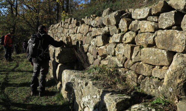 Il Bosco di Gallipoli e il Monte Croccia