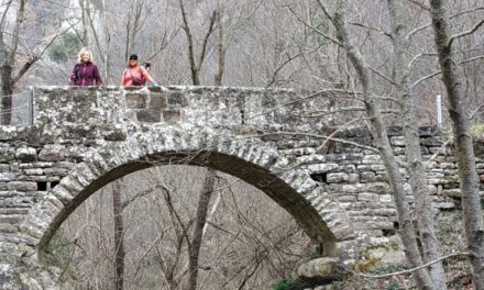 Ponte della Vecchia