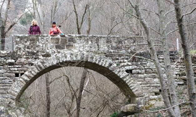 Ponte della Vecchia