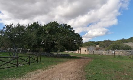 Querceti e Jazzi dell’Alta Murgia