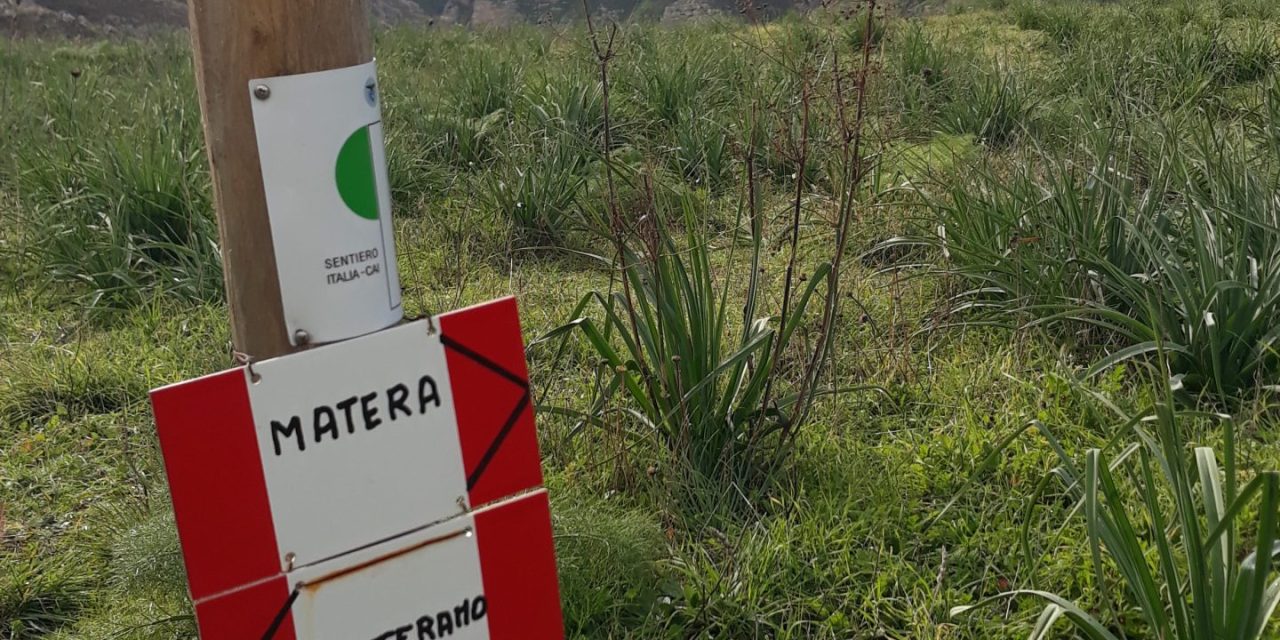 Anello dal centro storico a Murgia Timone