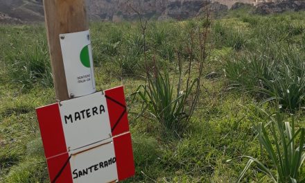 Anello dal centro storico a Murgia Timone