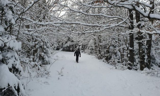 Camminando sulla neve