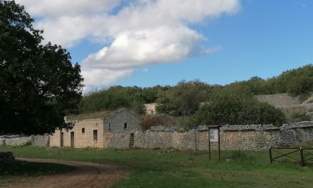 Querceti e Jazzi dell’Alta Murgia – Ruvo di Puglia