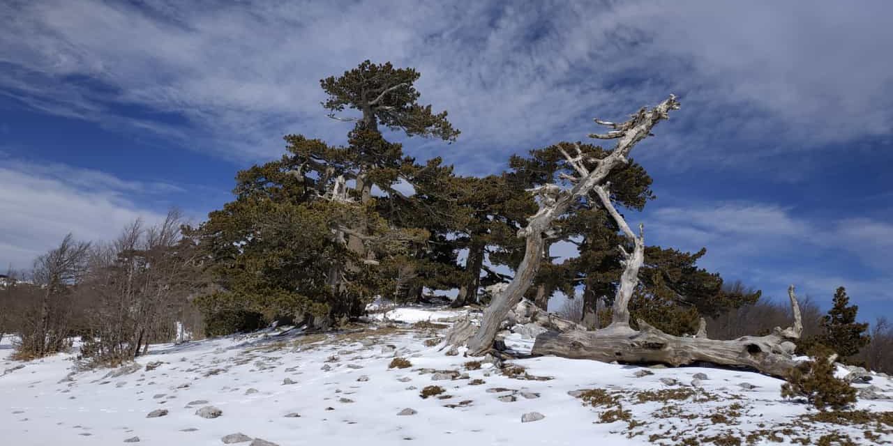 Giornata sulla neve