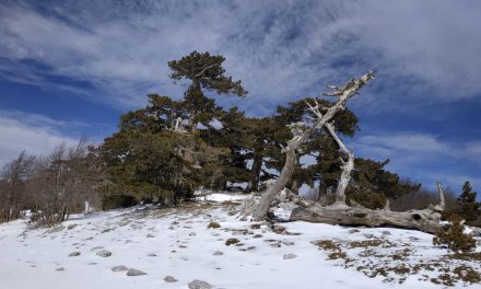 Giornata sulla neve