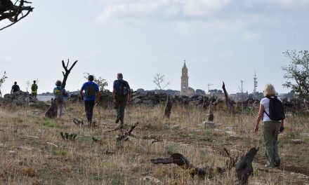 Matera Sentiero Italia e Murgia Materarana