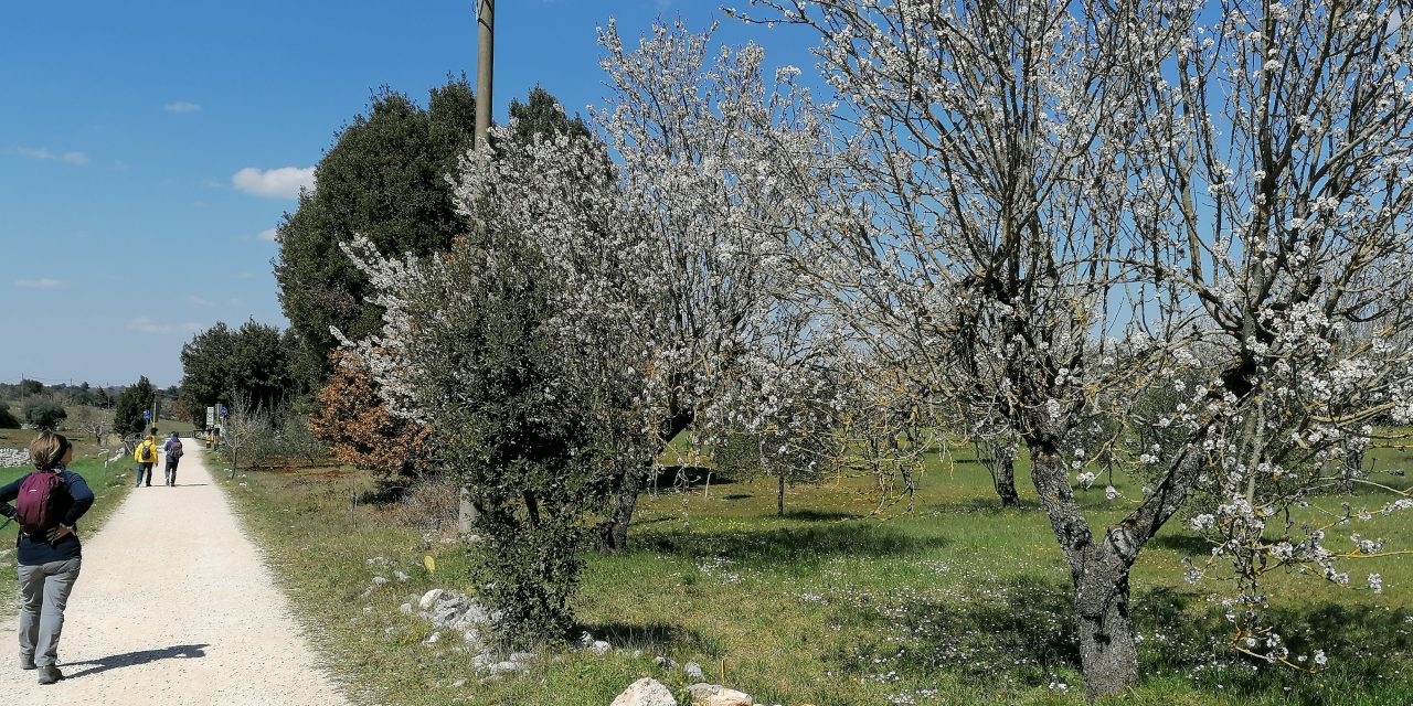 La via dell’Acquedotto. Dalla contrada “Mezzoprete” al bosco Ulmo