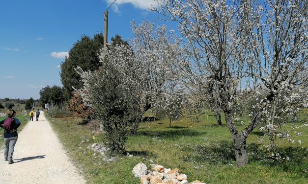 La via dell’Acquedotto. Dalla contrada “Mezzoprete” al bosco Ulmo