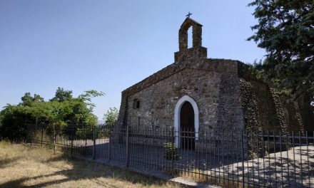 Cicloescursione al bosco della Manferrara