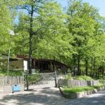 Cicloescursione Bosco di Montepiano