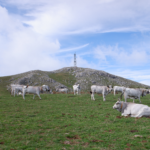 Monte Raparo