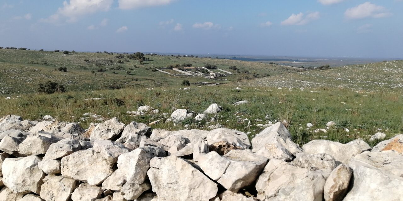 Da Fattoria Mandorla a Masseria Pietre Tagliate