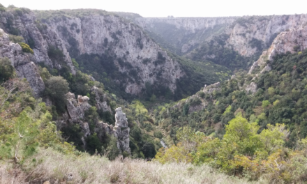 Gravina di Laterza