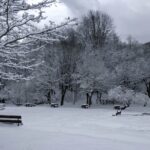 Passeggiata sulla neve