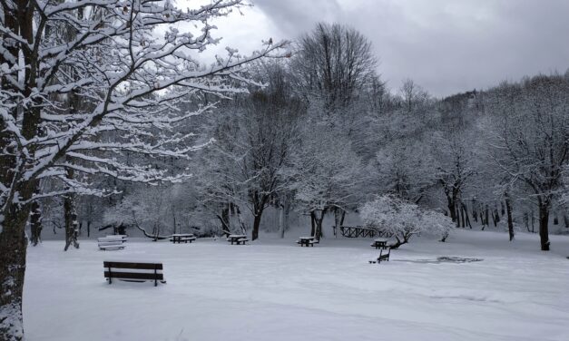 Passeggiata sulla neve