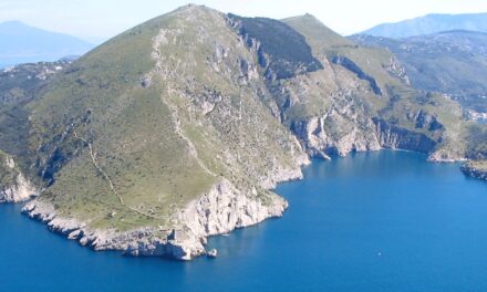 Riserva marina Punta Campanella