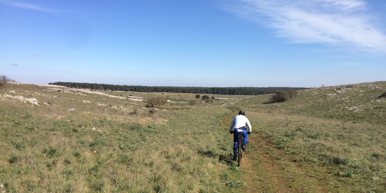 Cicloescursione da Matera a Bari