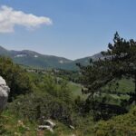 Nel Giardino degli Dei