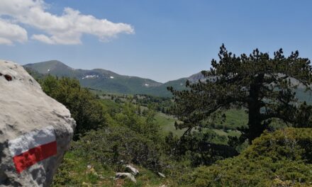 Nel Giardino degli Dei