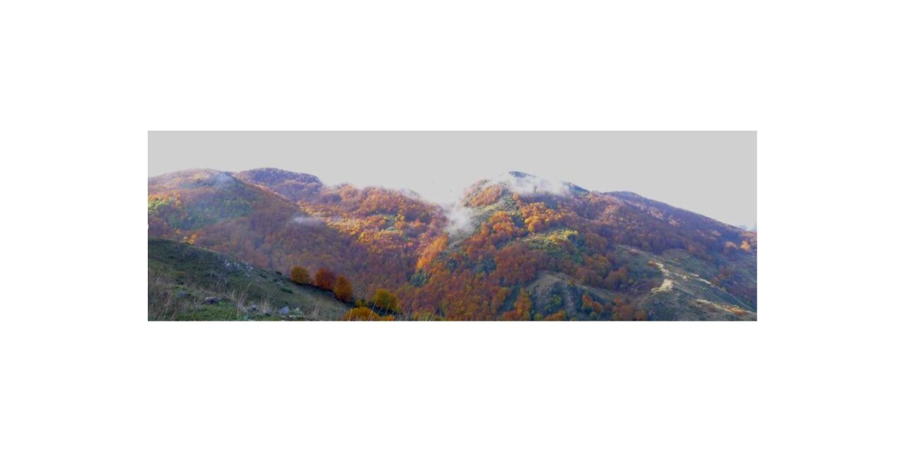 Monte di Grasta