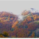 Monte di Grasta