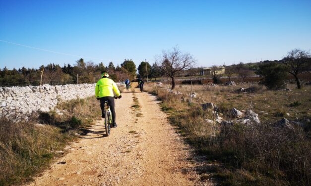 Da Matera al Bosco Denora di Santeramo