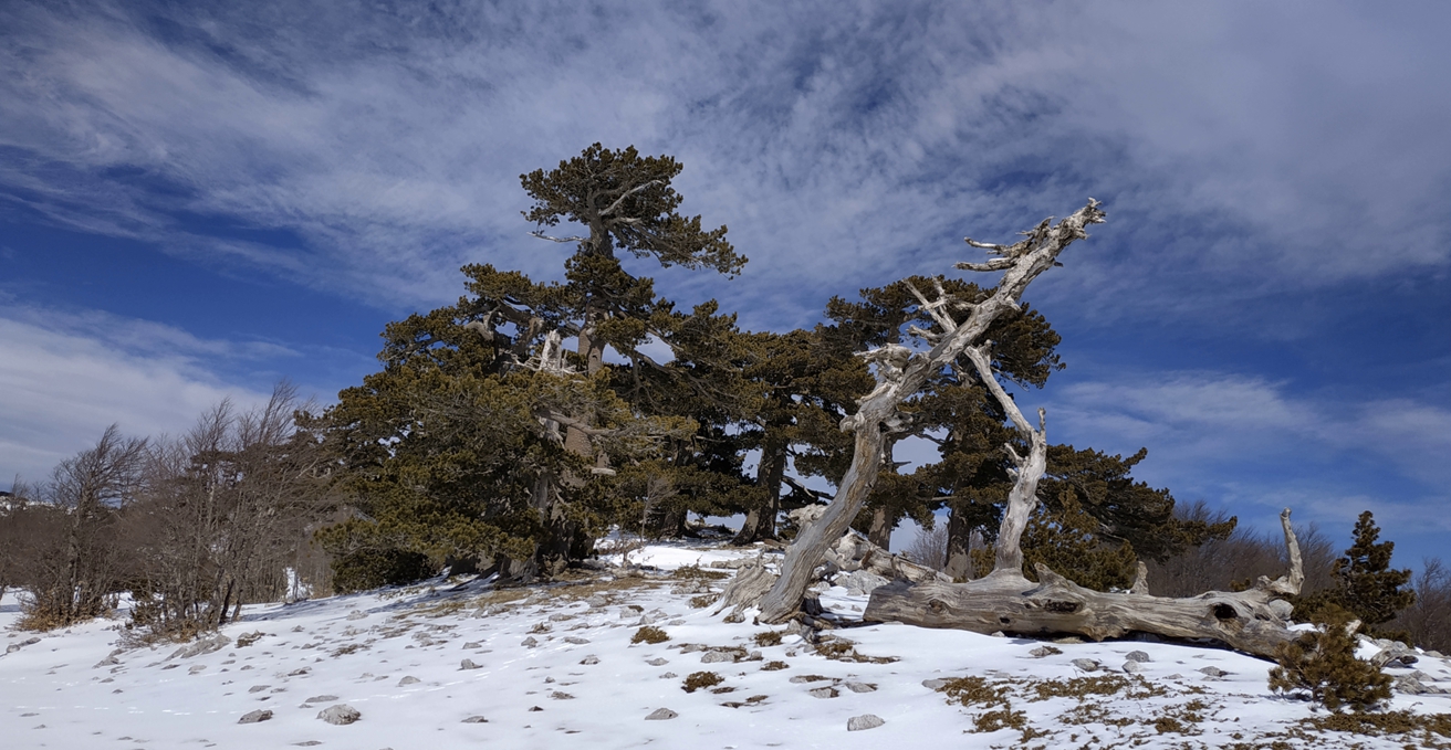 Trekking sul Pollino