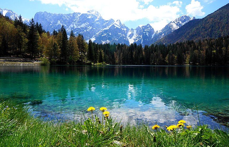 Settimana Verde