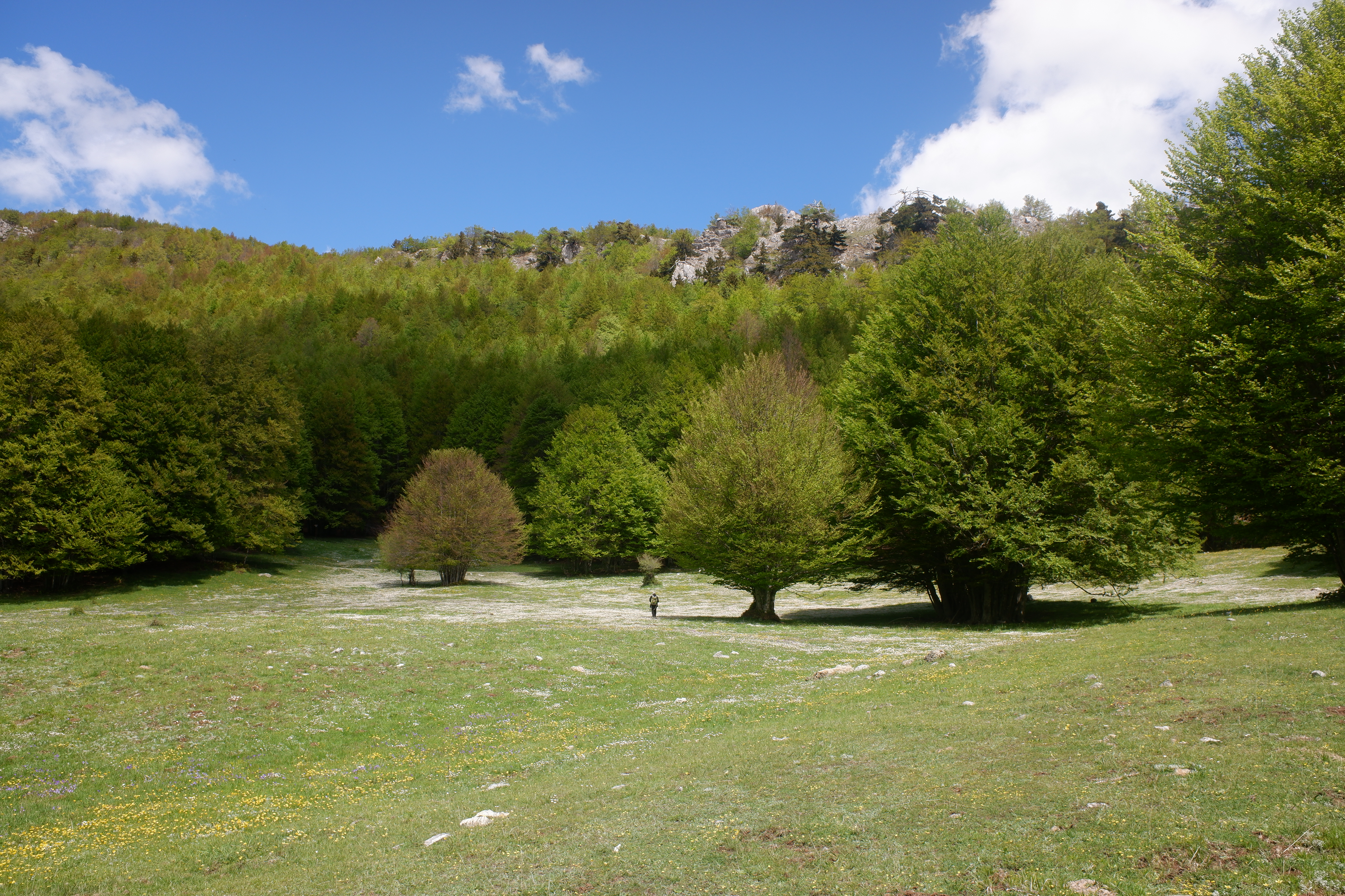 La Fagosa: da Colle Marcione al Piano di Acquafredda