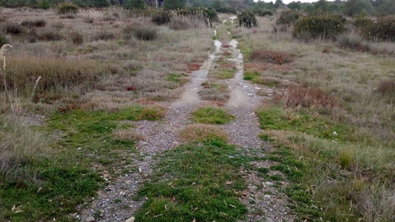 Il cammino jonico: Tra le foci dell’Agri e del Bradano